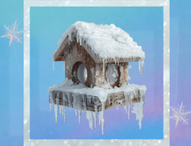 Rodzinne warsztaty budowania karmników